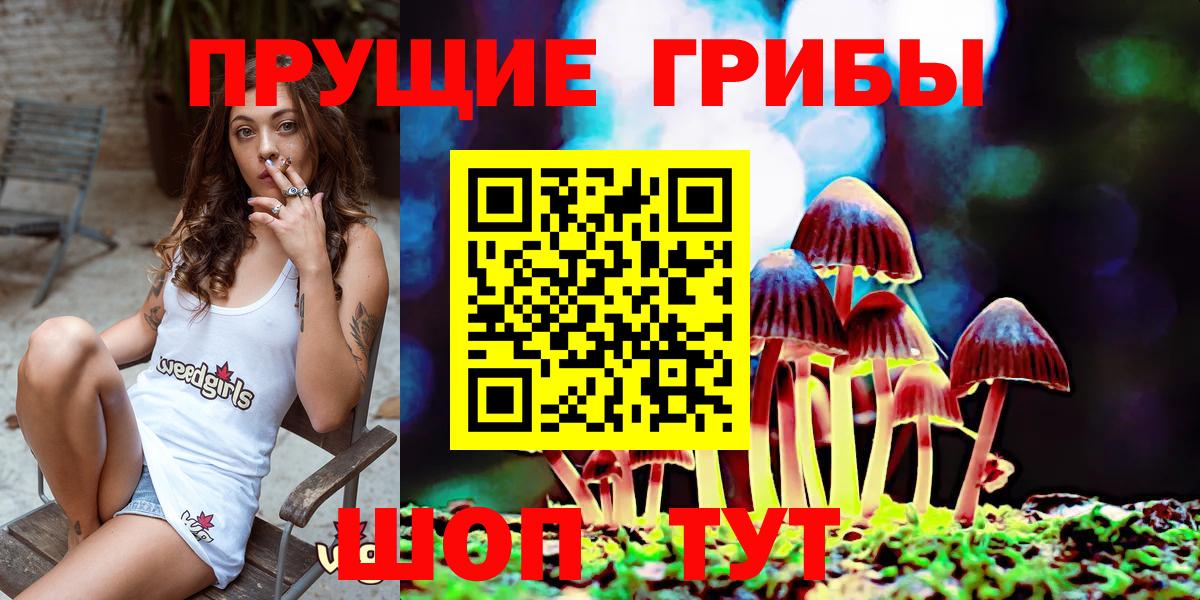 Галлюциногенные грибы прущие грибы  Вход с VPN  Галлюциногенные грибы мухоморы  Железноводск 