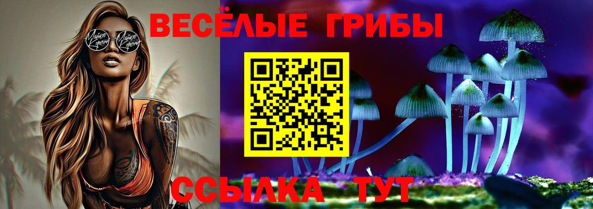 Галлюциногенные грибы прущие грибы Железноводск